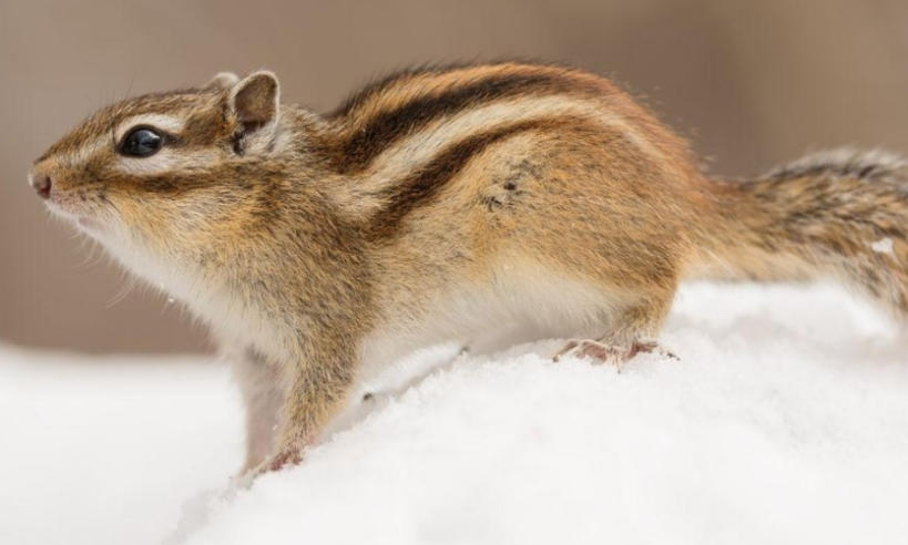 陕西理想艾科广告装饰有限公司轮播图4